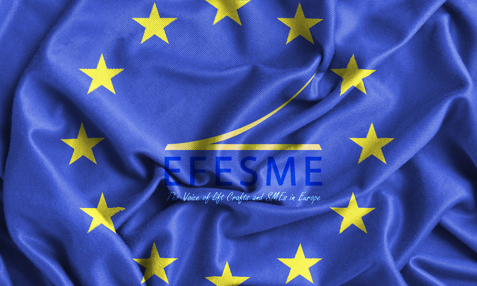 Eventos celebrados en Bruselas por parte de EFESME